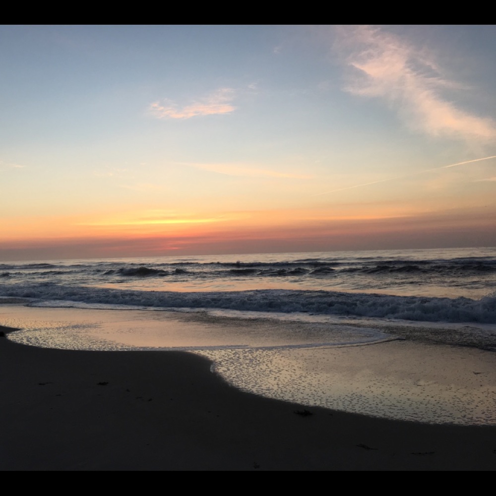 Meet your Posher, Alison